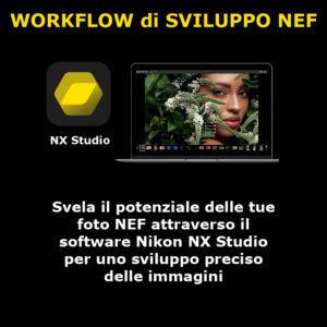 Sviluppo NEF con Nikon NX Studio